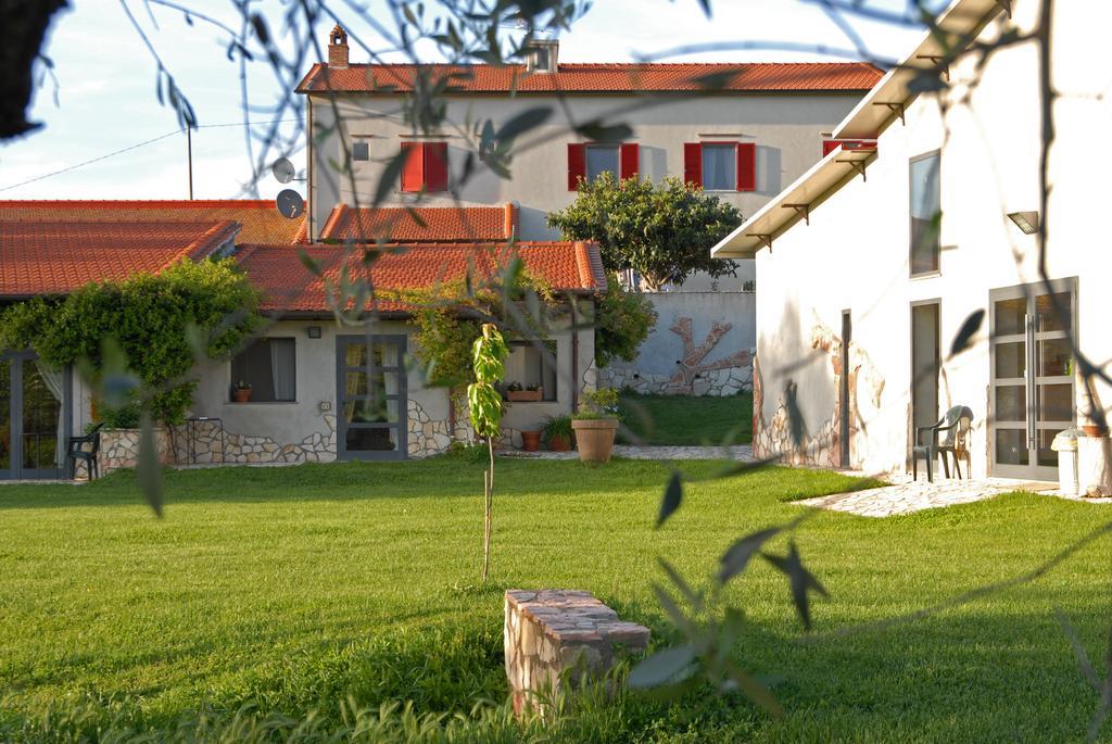 Agriturismo Arte Et Agricoltura Tuscania Extérieur photo
