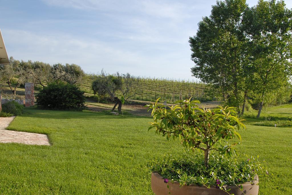 Agriturismo Arte Et Agricoltura Tuscania Extérieur photo