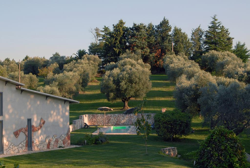 Agriturismo Arte Et Agricoltura Tuscania Extérieur photo