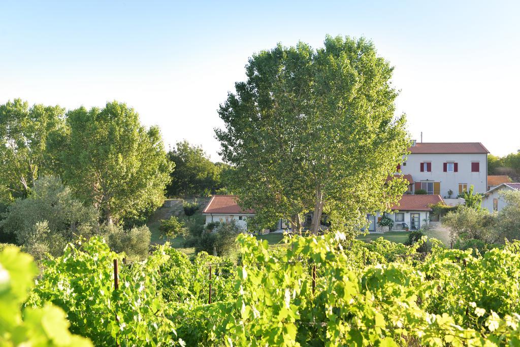 Agriturismo Arte Et Agricoltura Tuscania Extérieur photo