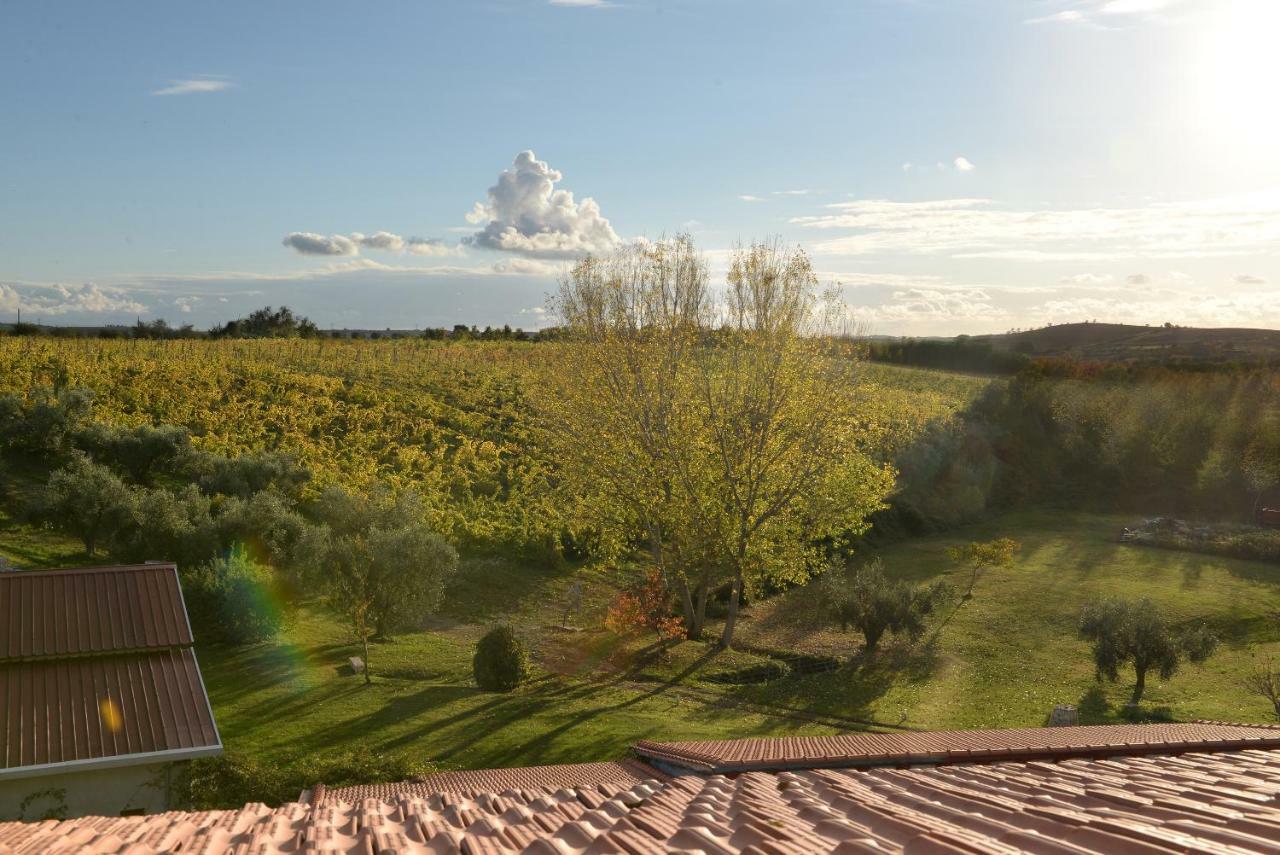 Agriturismo Arte Et Agricoltura Tuscania Extérieur photo